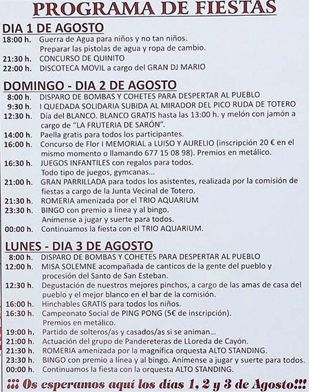 15-08-01_FiestasTotero1