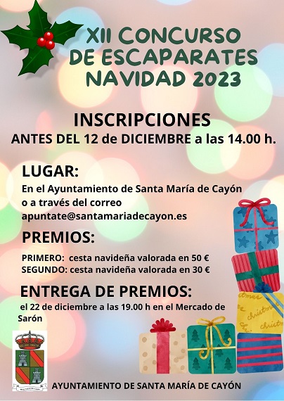 XII CONCURSO ESCAPARATES web