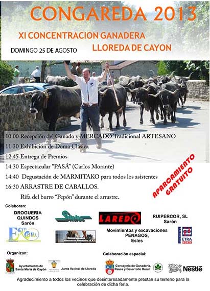 2013_BUENOCartelCongareda